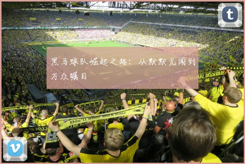 黑马球队崛起之路:从默默无闻到万众瞩目